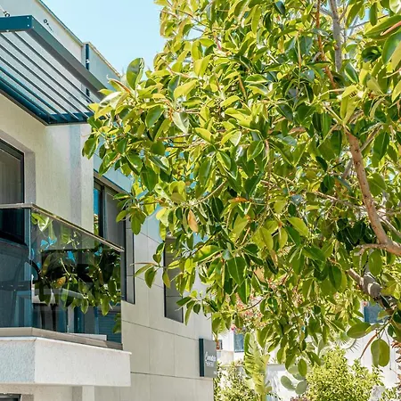 Cimentepe Deluxe 6 - In Yalikavak Bodrum